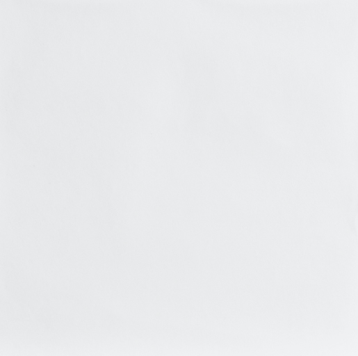 Leco Vlies 250 x-tra glatt 63250 070 25 x 0,75 mt